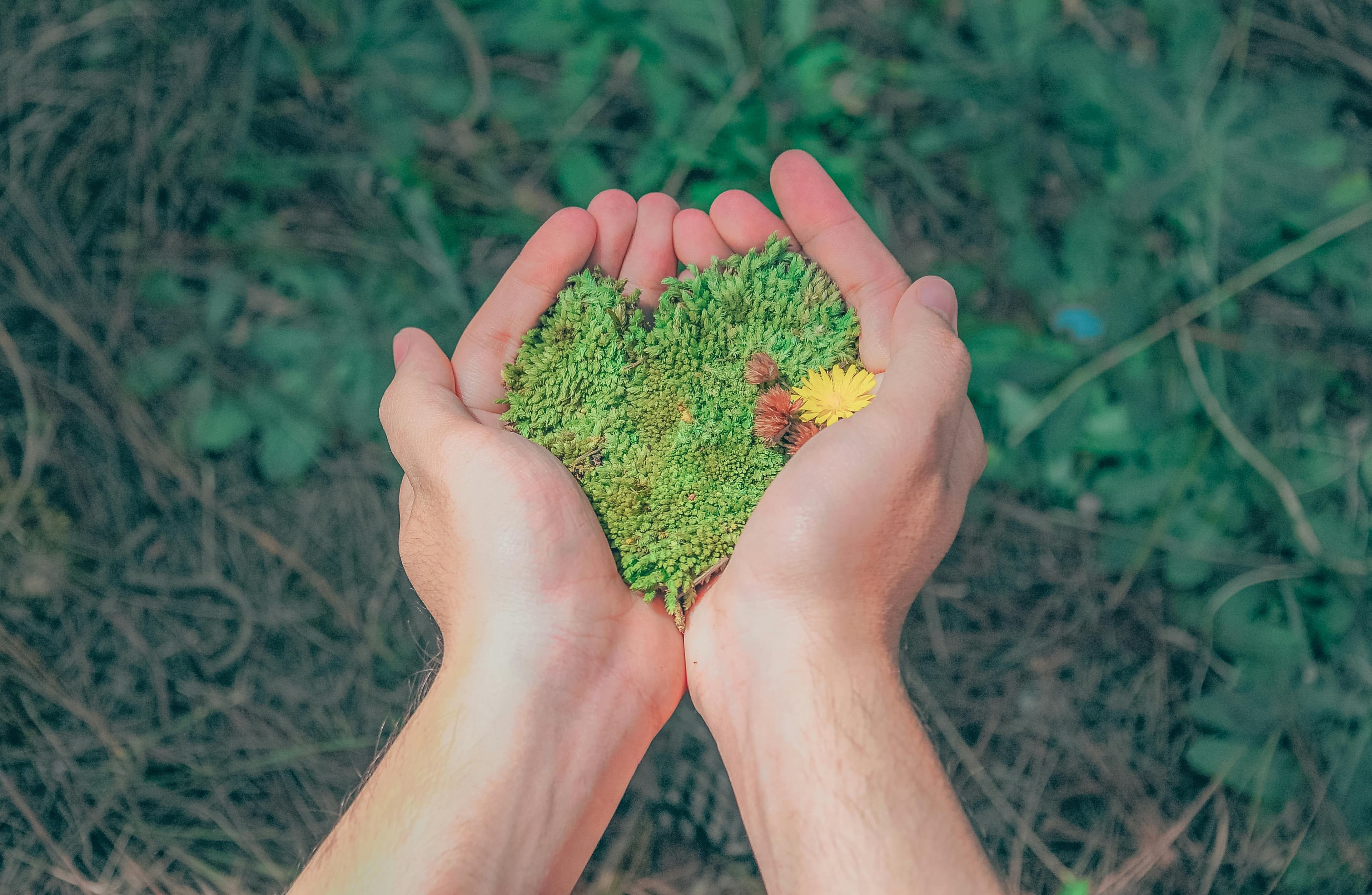 Sustainability in Heavy Equipment Manufacturing: Green Practices That Work